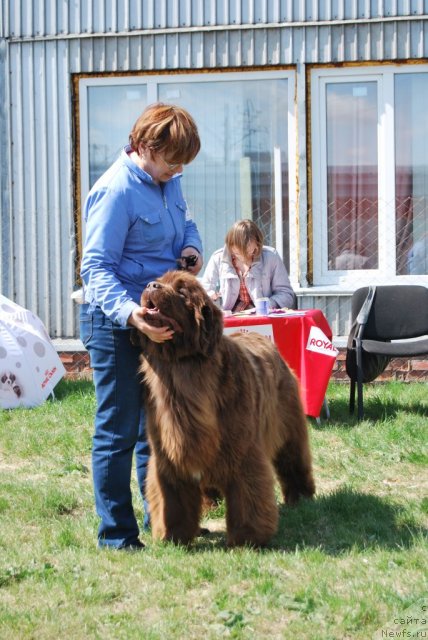 Фотография № 96505