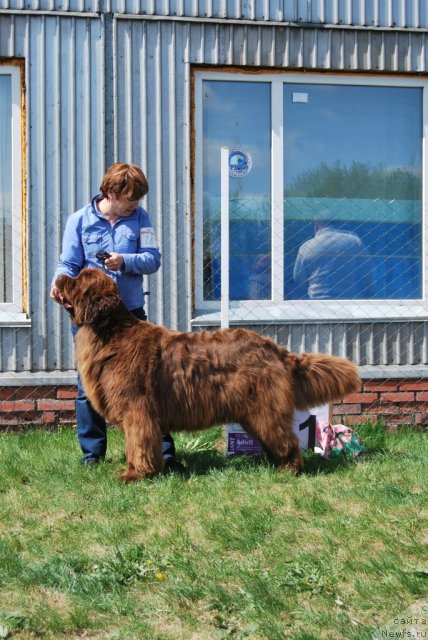 Фотография № 96506