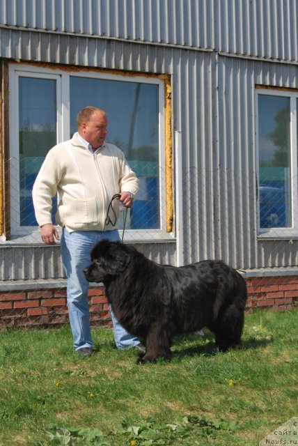 Фотография № 96507