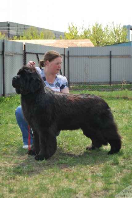 Фотография № 96510