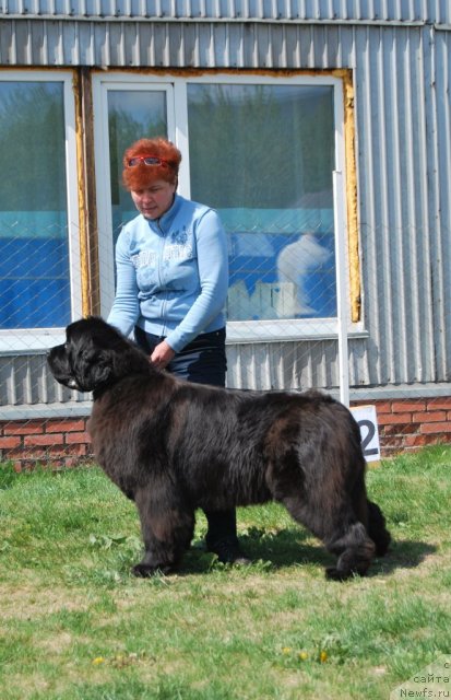 Фотография № 96514