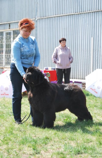 Фотография № 96515