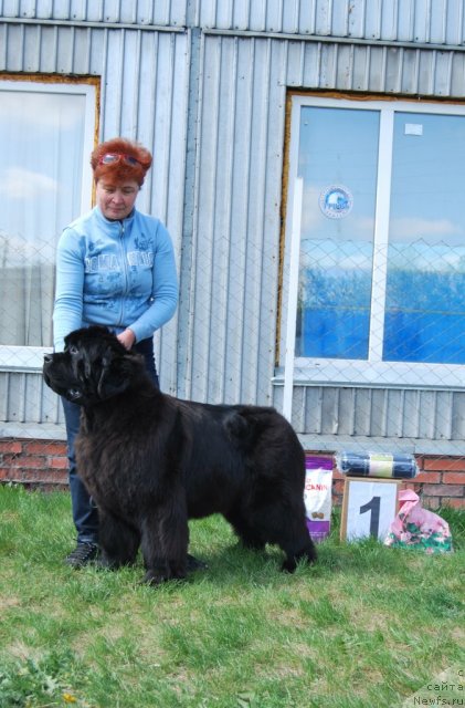 Фотография № 96516