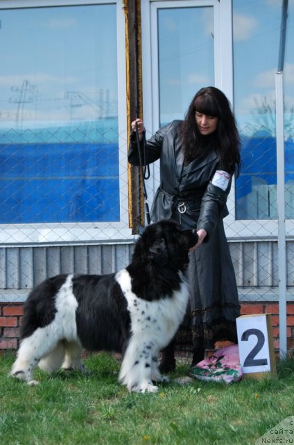 Фотография № 96517