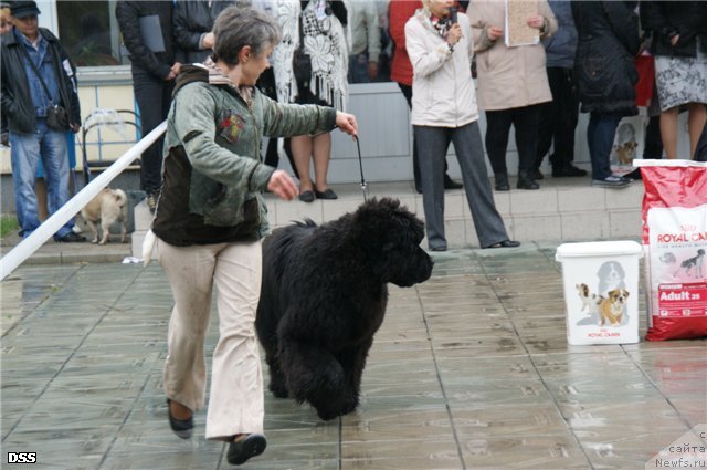 Фотография № 96542