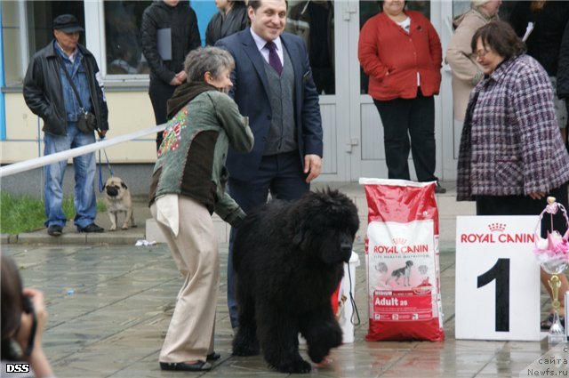 Фотография № 96544