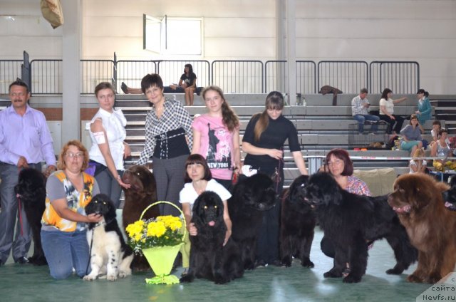 Фотография № 96555