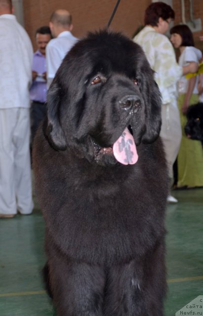 Фотография № 96559