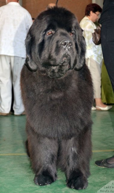 Фотография № 96560