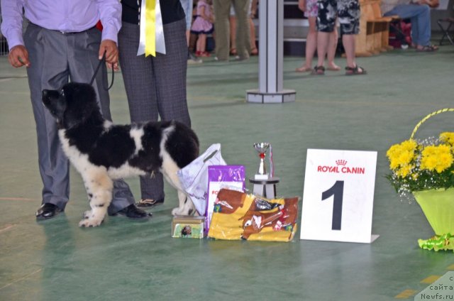 Фотография № 96562