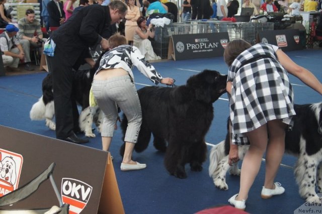 Фотография № 96568