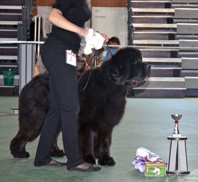 Фотография № 96570