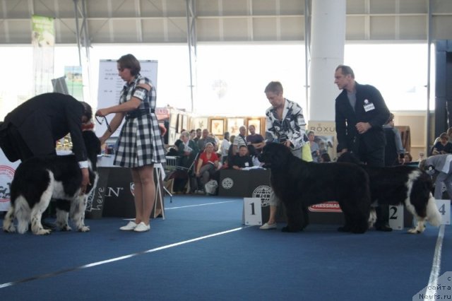 Фотография № 96571