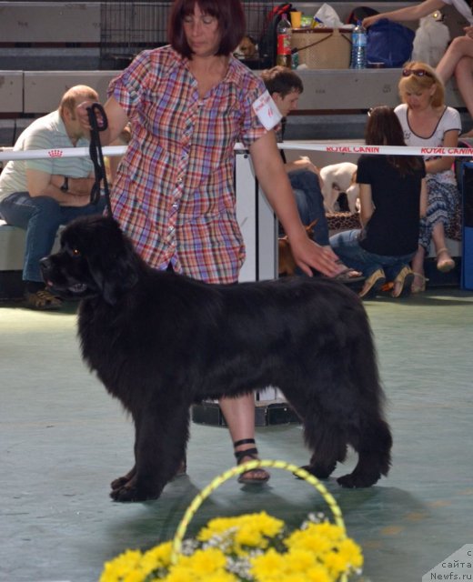 Фотография № 96576