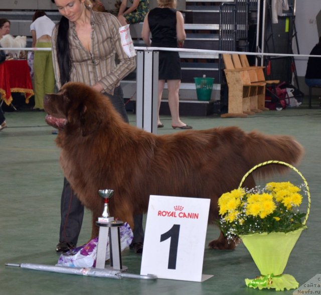 Фотография № 96580