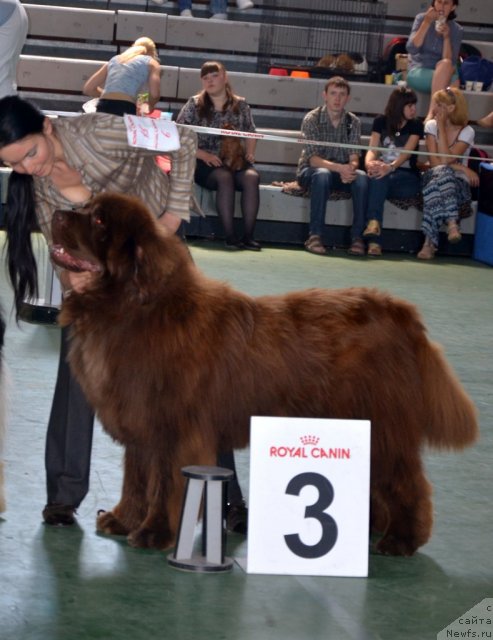 Фотография № 96583