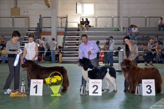 Фотография № 96584