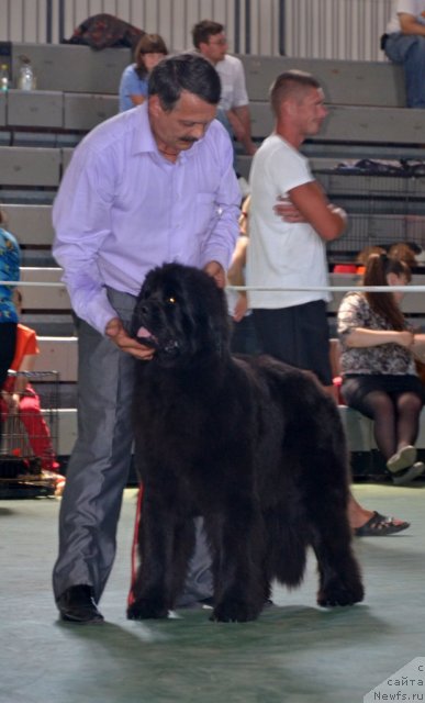 Фотография № 96587