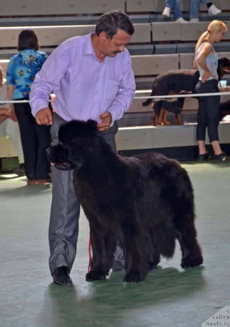 Фотография № 96588