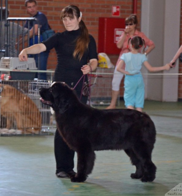 Фотография № 96589