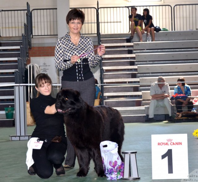 Фотография № 96590