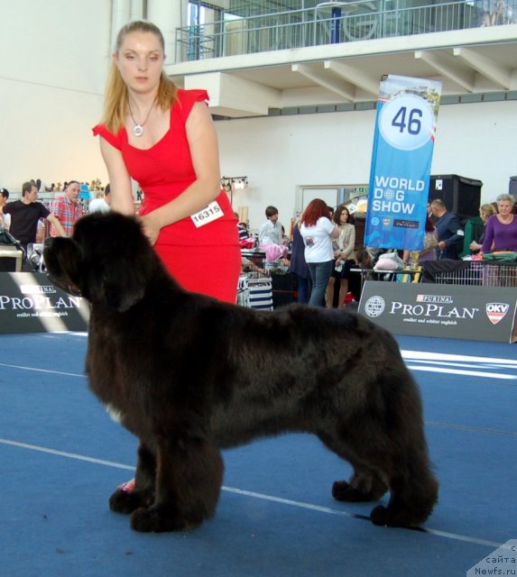 Фотография № 96603