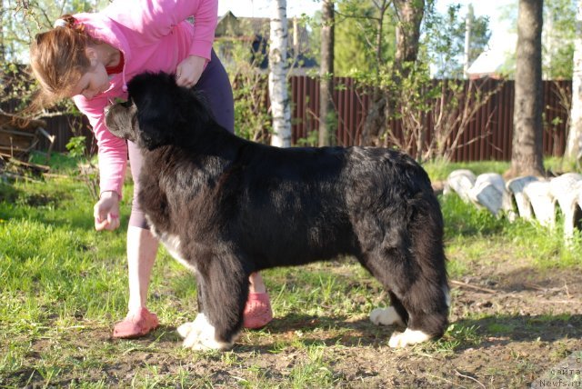 Фотография № 96622