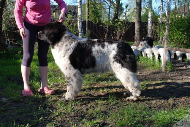 Фотография № 96626