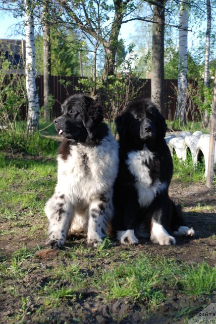 Фотография № 96630