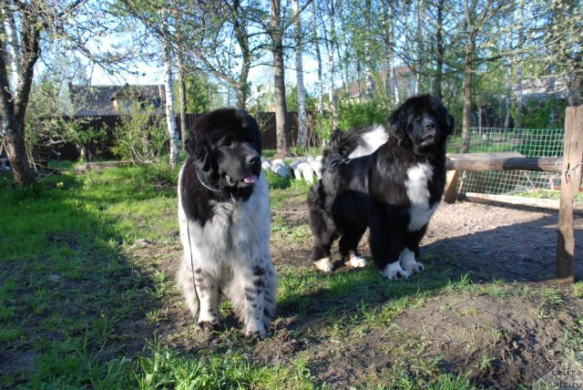 Фотография № 96634