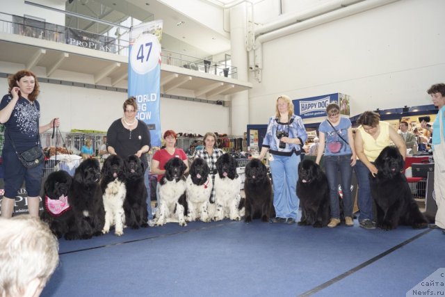 Фотография № 96635