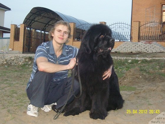 Фотография № 96716