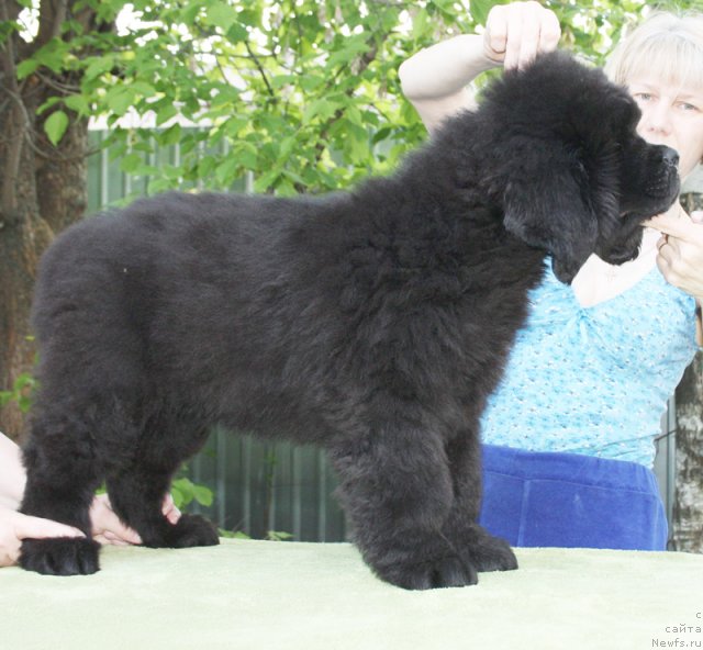 Фото: Бегущая по волнам Центэр оф Аттракшион