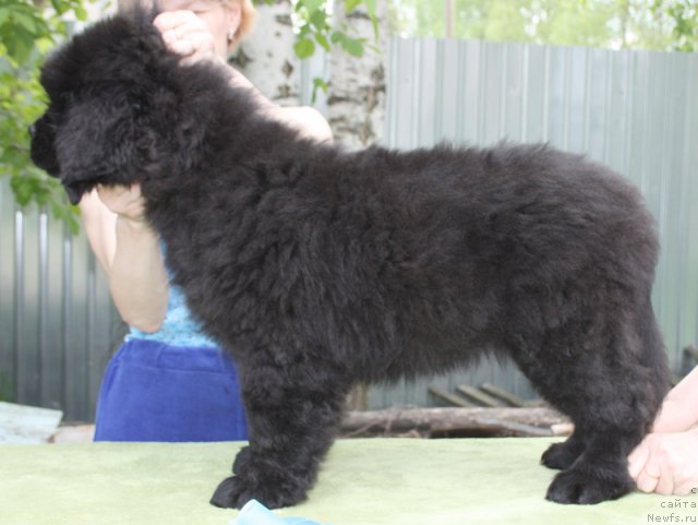 Фото: Бегущая по волнам ЦАРЕВНА БУДУР