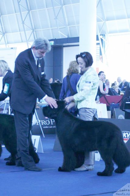 Фотография № 96779