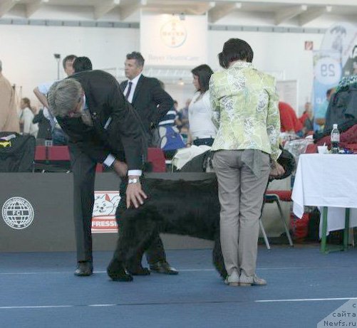 Фотография № 96780