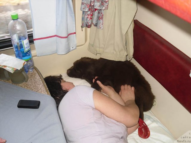 Фотография № 96843