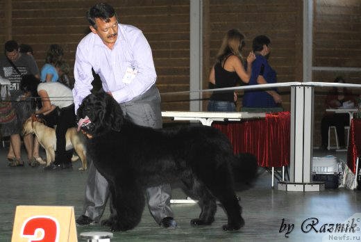 Фотография № 96852