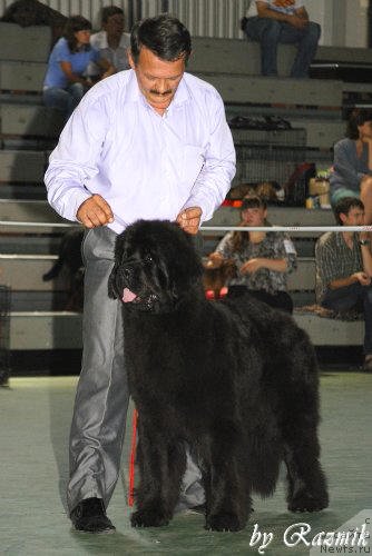 Фотография № 96855