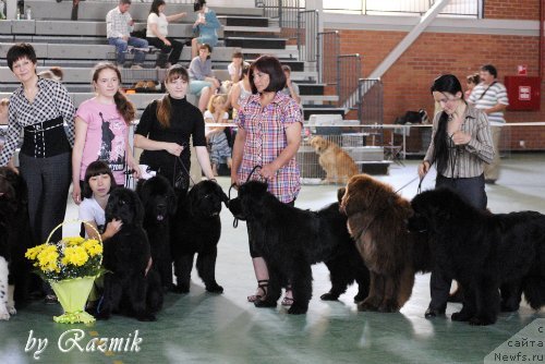 Фотография № 96864