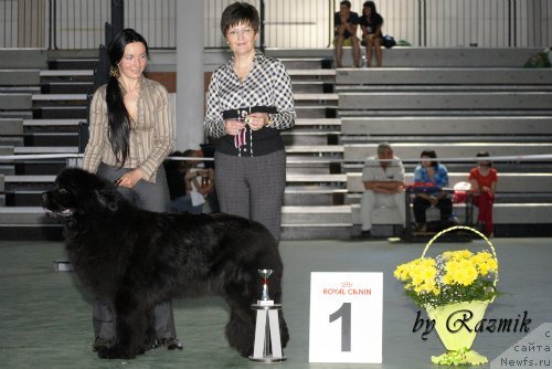 Фотография № 96872