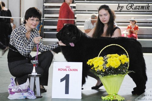 Фотография № 96874