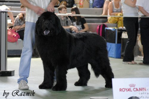 Фотография № 96876