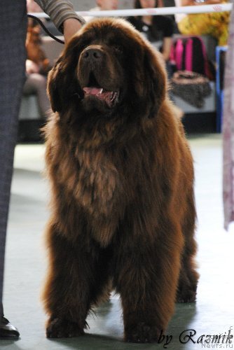 Фотография № 96878