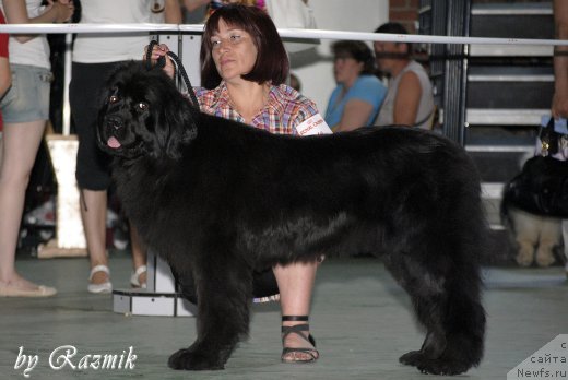 Фотография № 96880