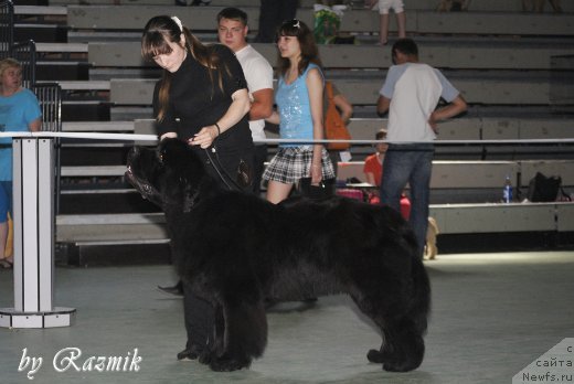 Фотография № 96883