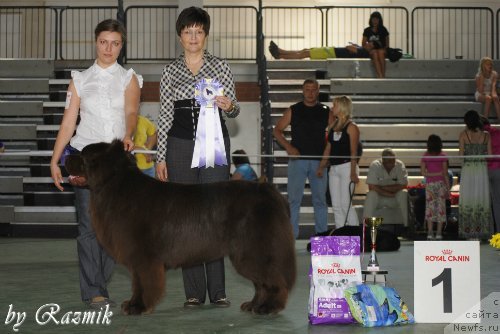 Фотография № 96885