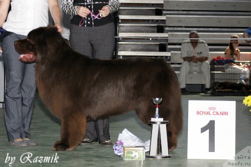 Фотография № 96886