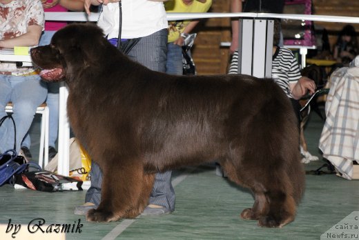 Фотография № 96887