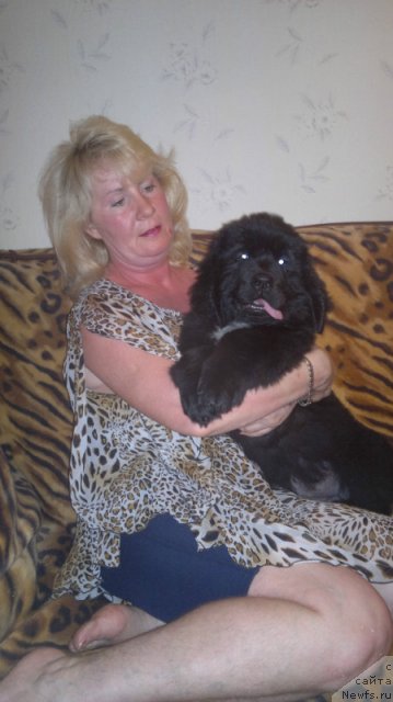 Фотография № 96895